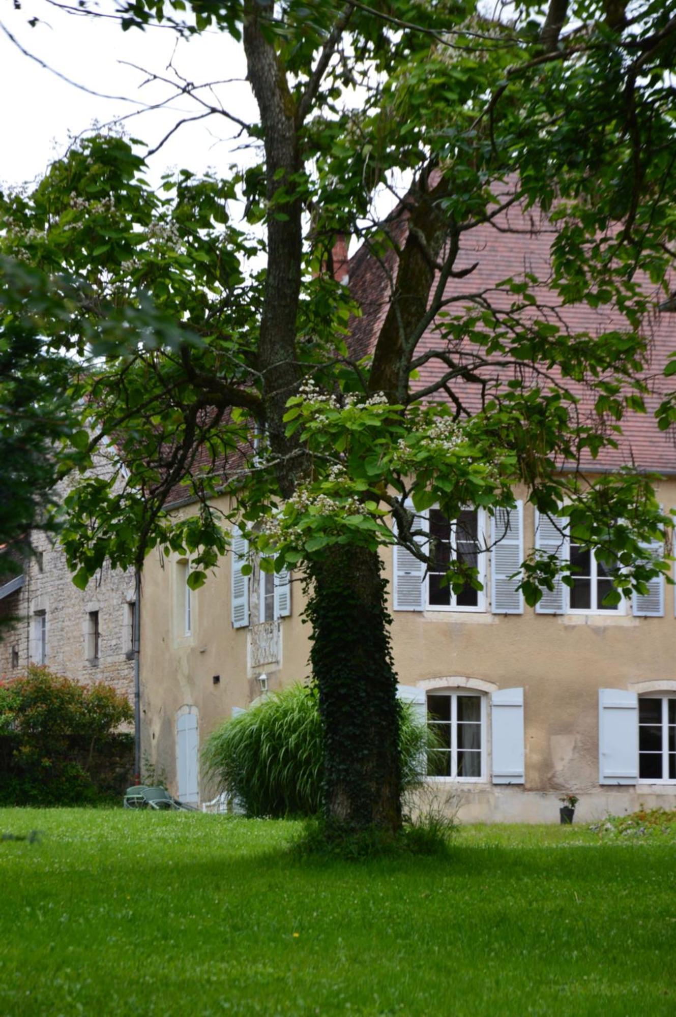 La Tourelle D'Aiglepierre Apartment Bagian luar foto